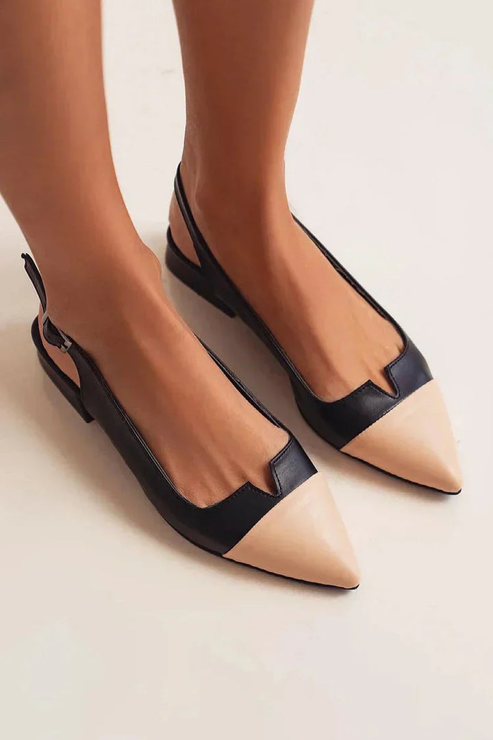 Colourful buckle with back strap and pointed toe